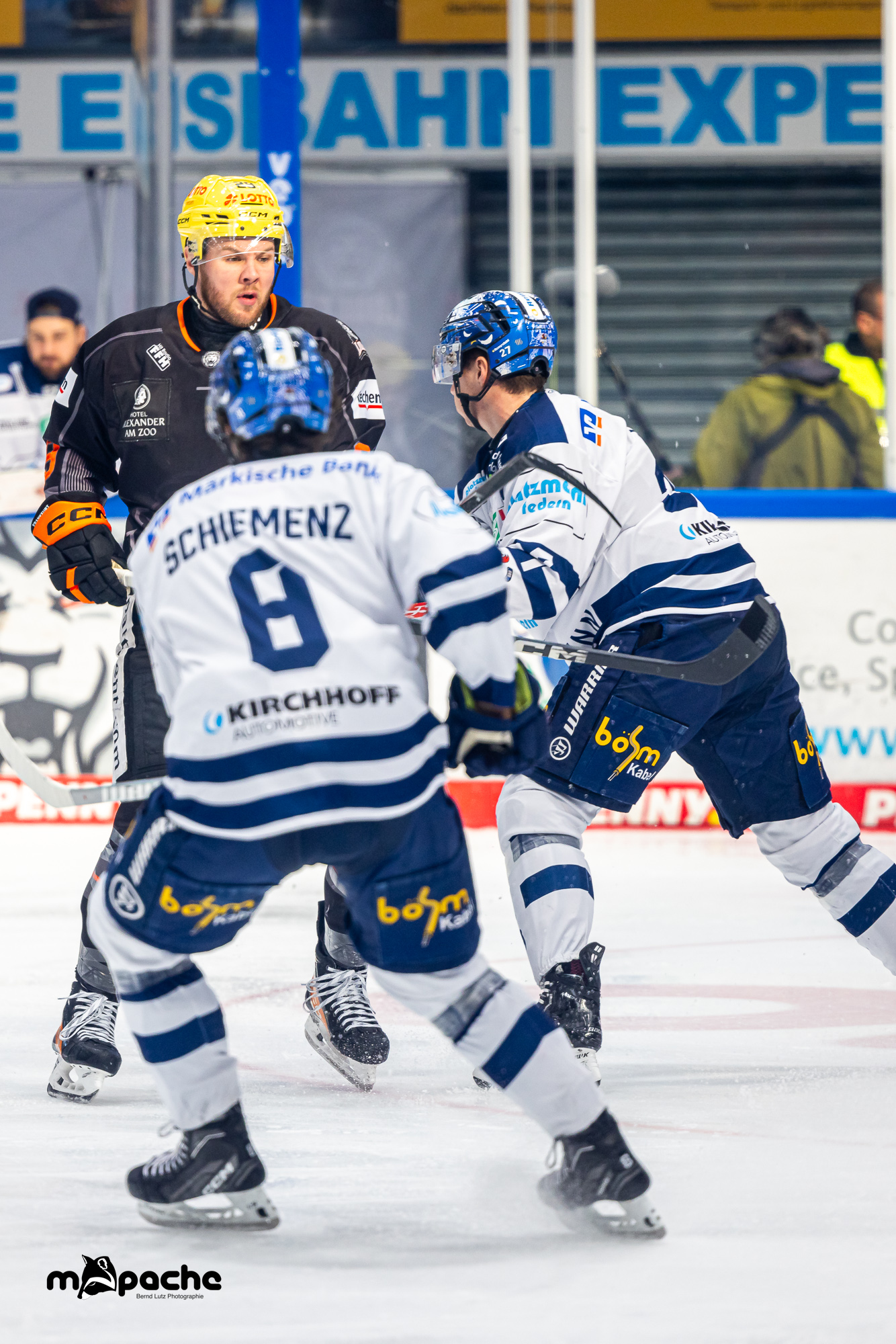 Mehr über den Artikel erfahren Cedric Schiemenz trägt ab sofort das Löwen-Trikot