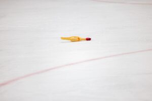 Let them fly (again)!