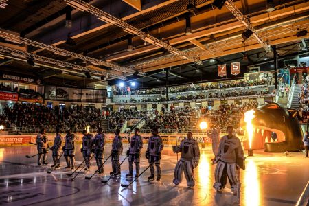 Augsburger Panther gegen Eisbären Berlin -  DEL